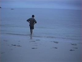 Tao on Achmelvich beach at sundown